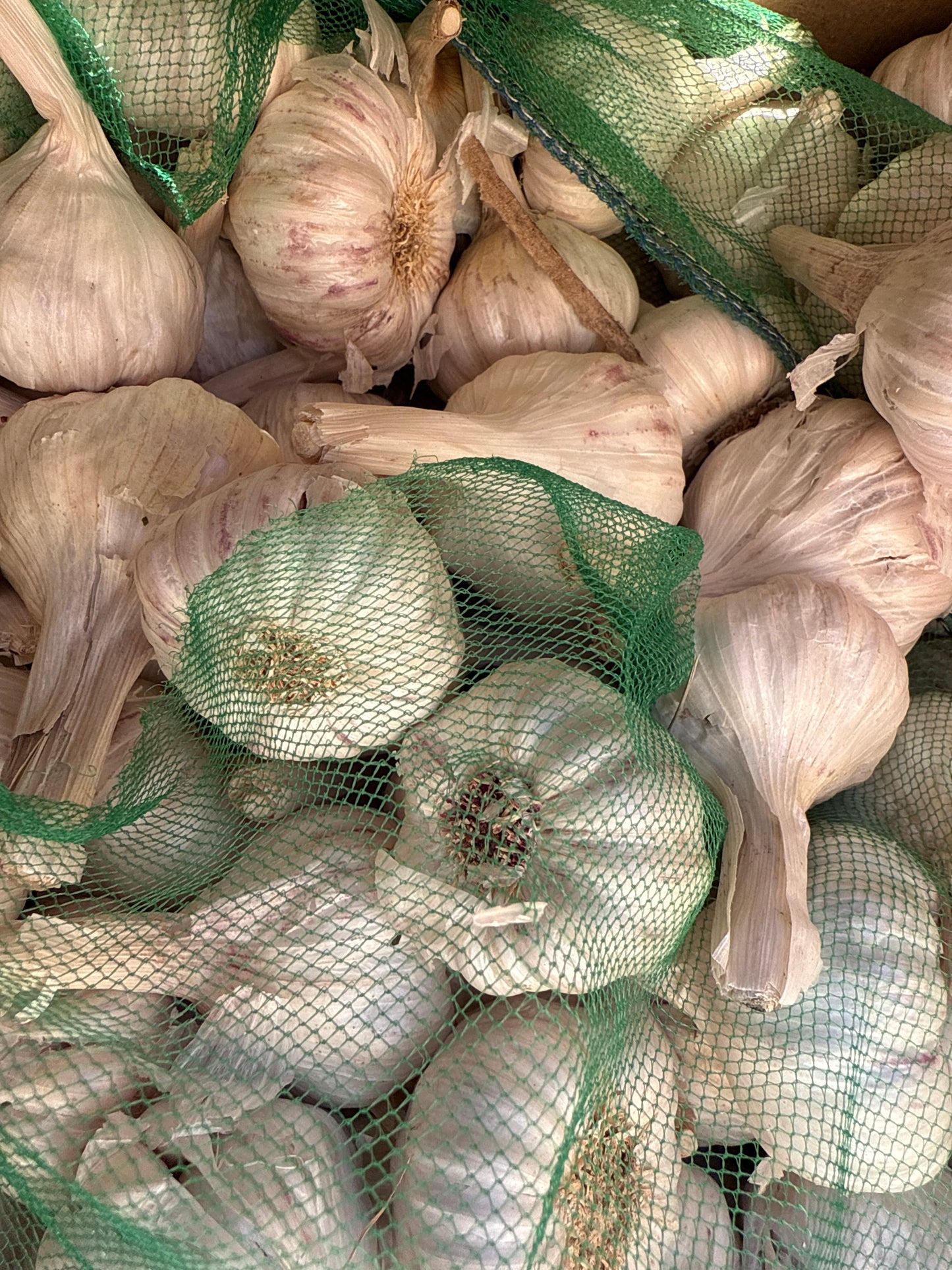 Indian Garlic Whole