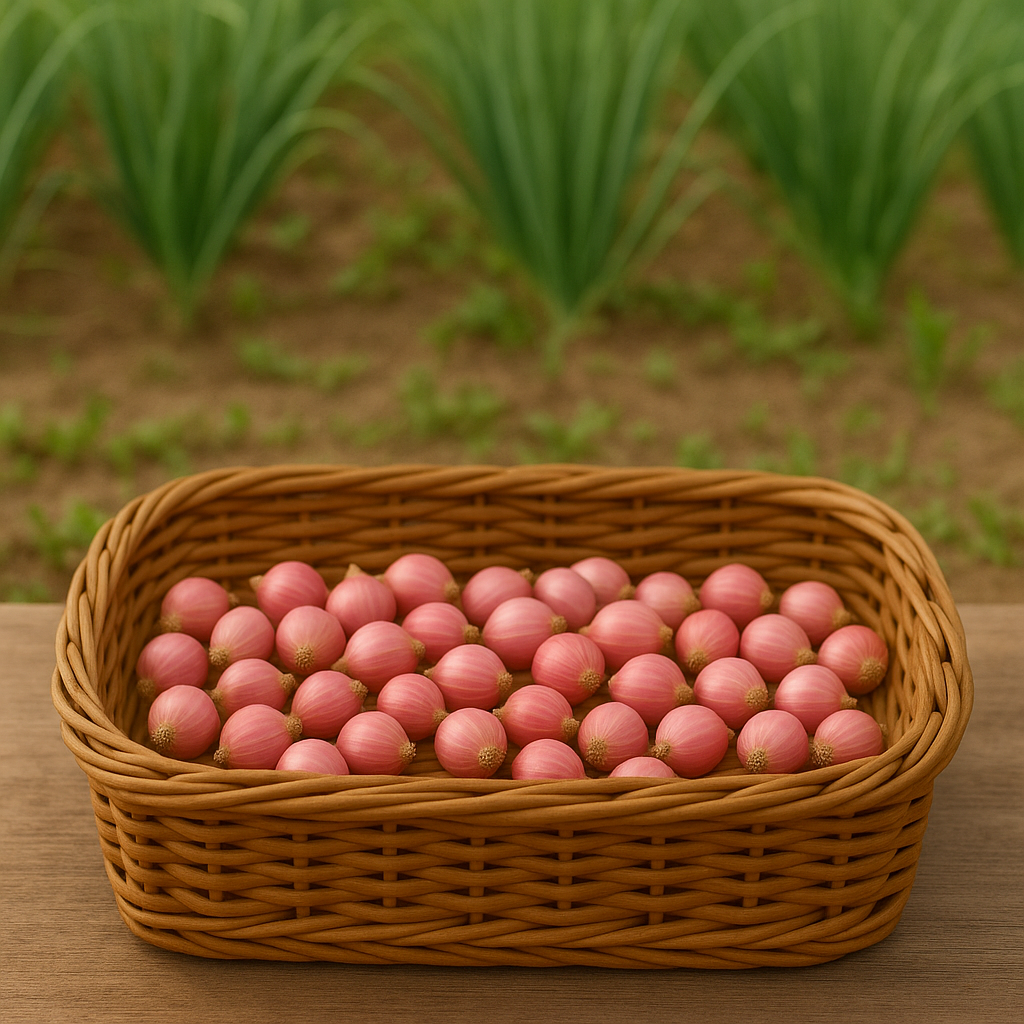 చిన్న (సాంబార్) ఉల్లిపాయలు