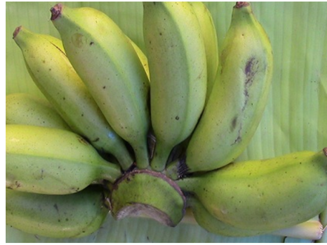 Chakkarakeli bananas