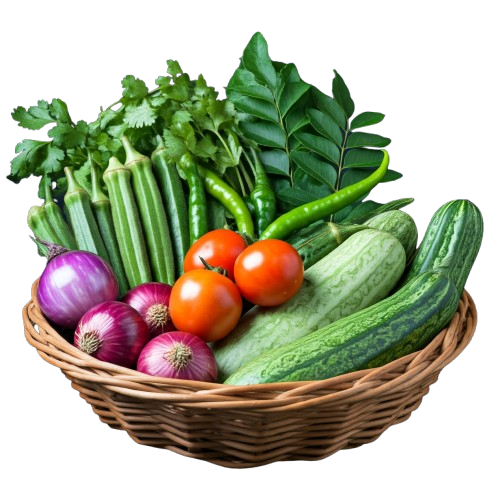 Premium Combo Veg Pack for Family - 16 items