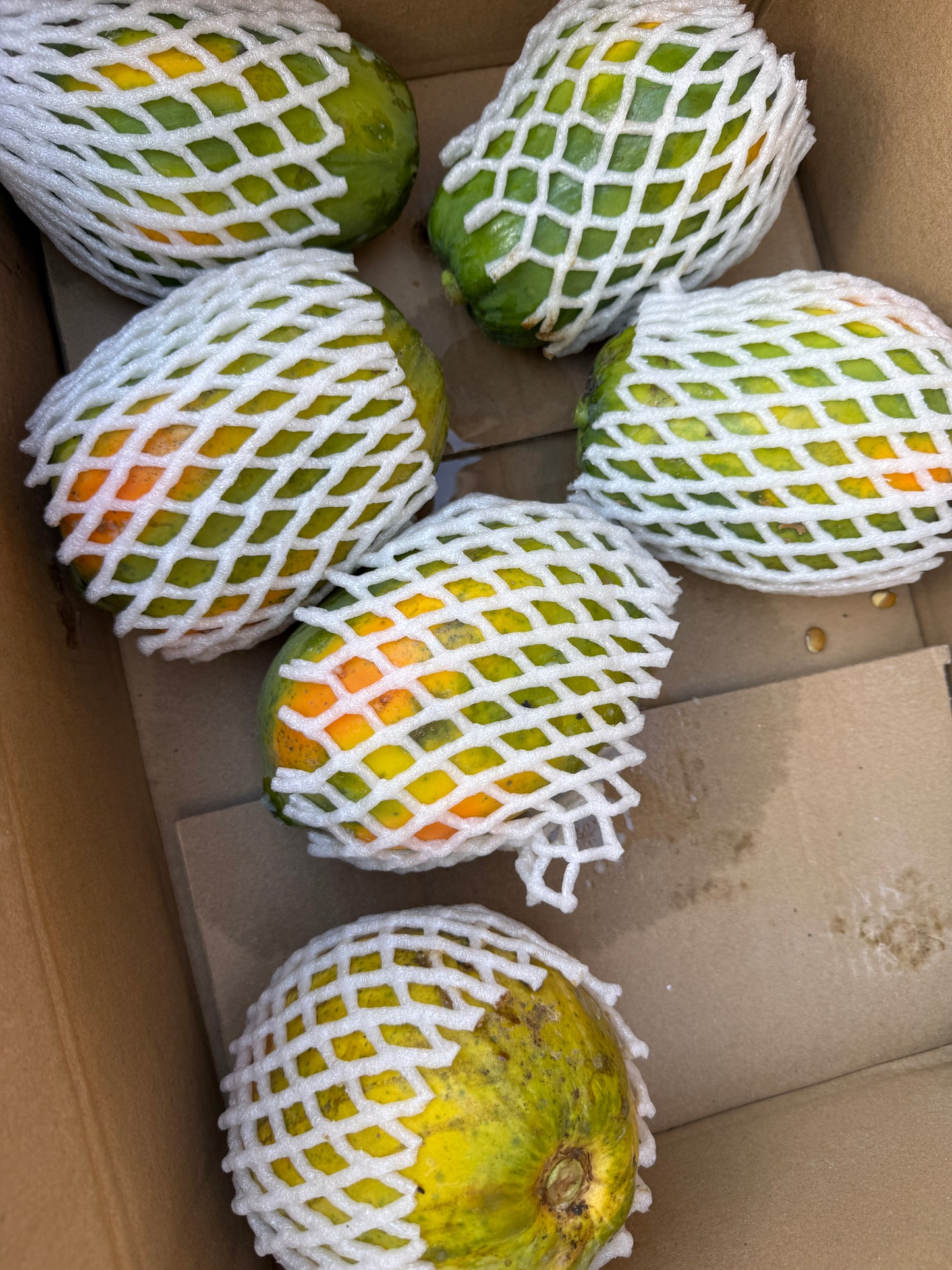 Ripen Pappaya import 1kg approx Fruit