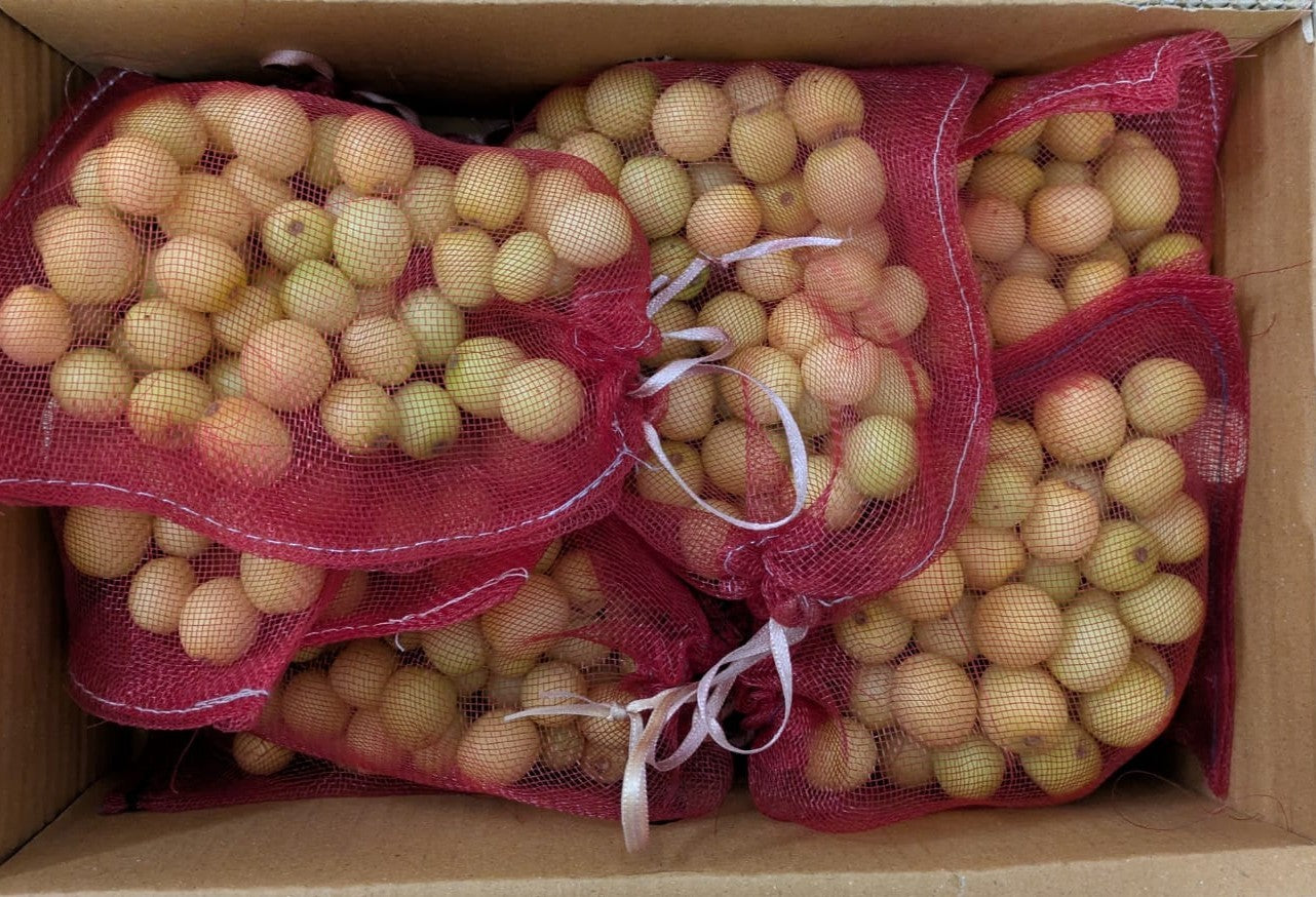 Small Regi/ indian jujubi - 200g(Apprx) -Edible