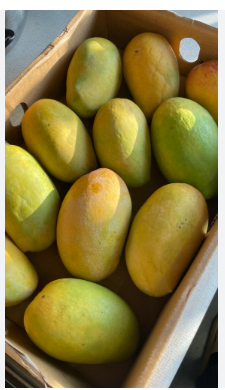 Himayat Imam Pasand Mangoes box