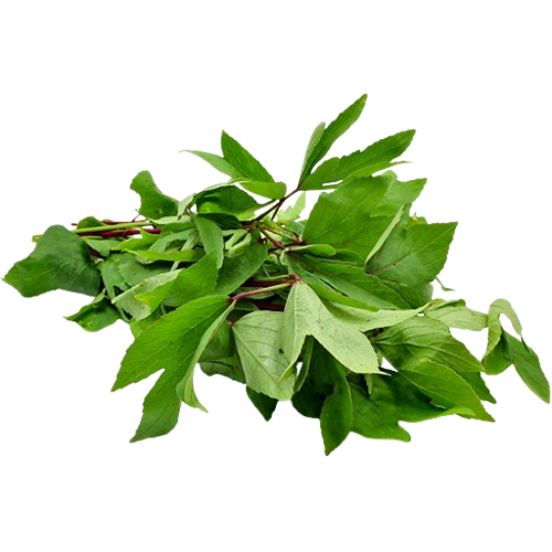 Sorrel Leaves/ Gongoora Leaf