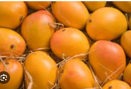 Alphonso (Juicy)- One Box