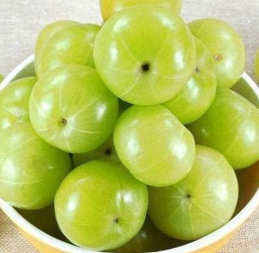 Fresh Indian Green Amla/Gooseberry