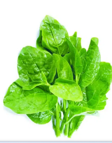 Fresh Malabar Spinach / Bacchali / Puyi Sag Bunch