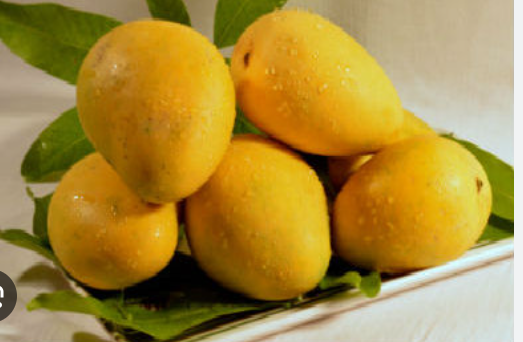 Nuzvid Banginapalli Mango Box - One 3kg