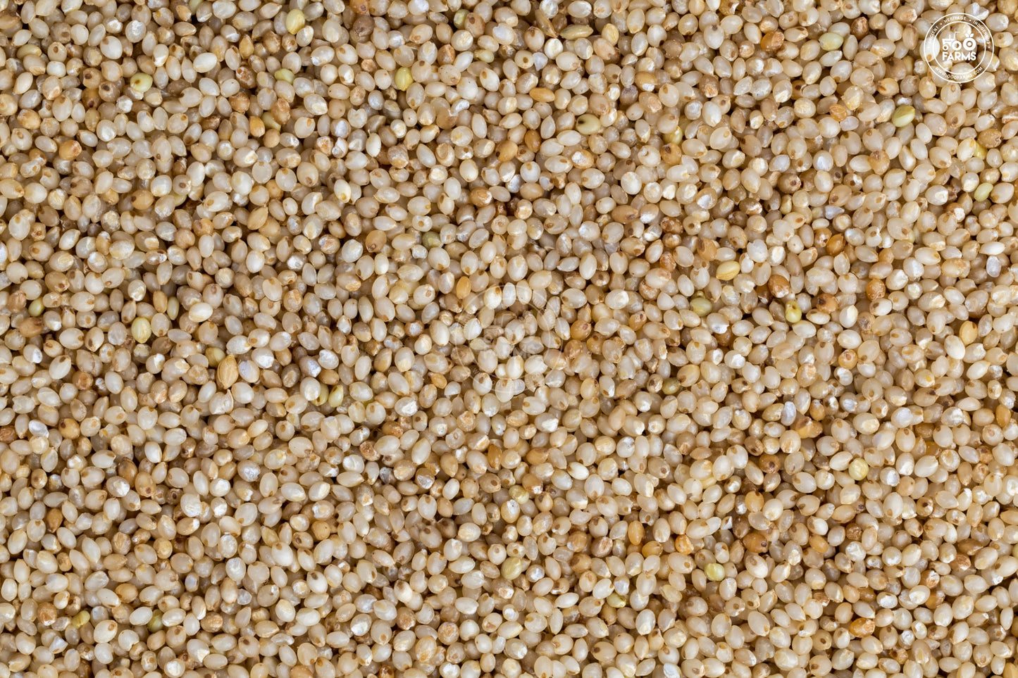 VILLAGE BANYARD MILLETS 1 KG