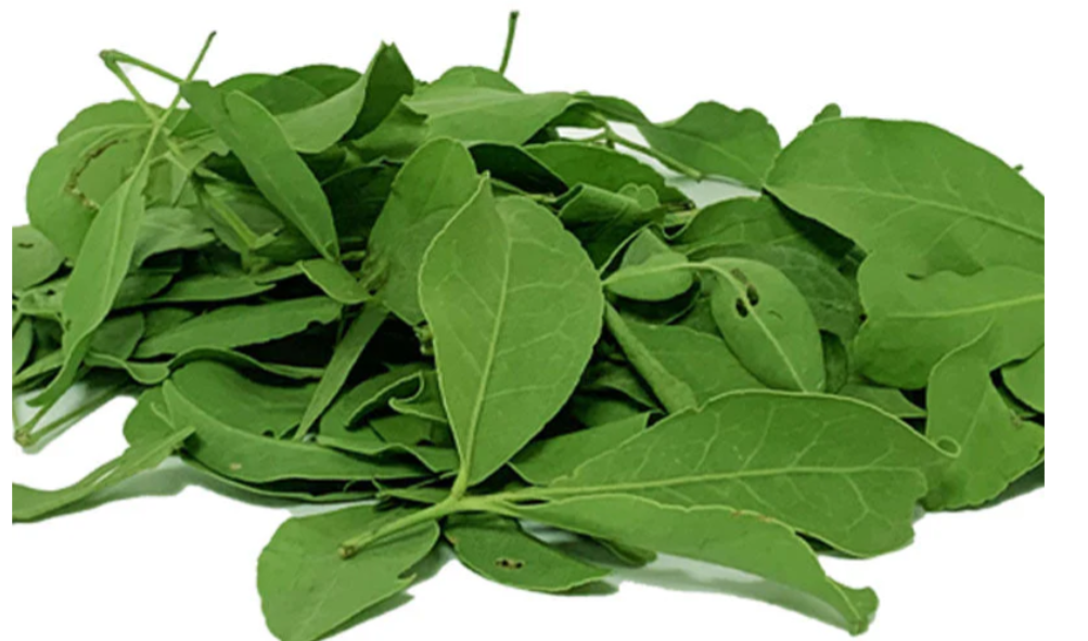 Bel Patra / Bilva Leaves -20g(Approx)
