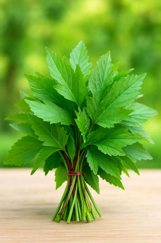 Sorrel Leaves/ Gongoora Leaf