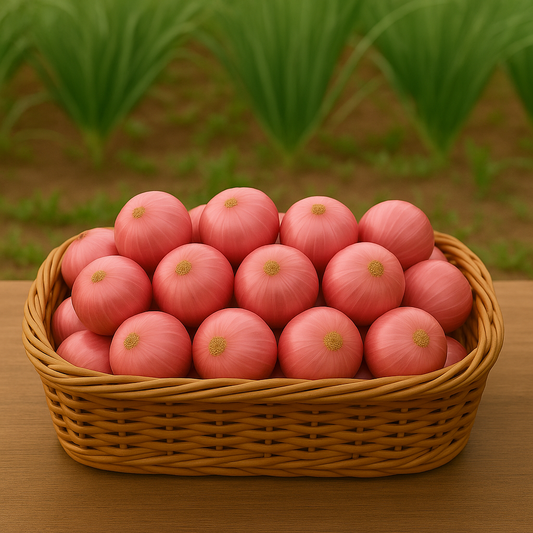 Indian Onions (Bombay) - 3kg