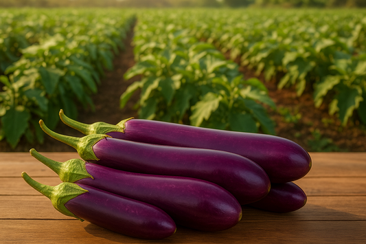 Brinjal Long/Baingan Long