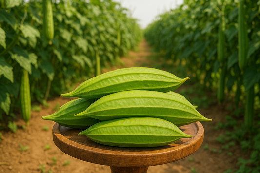 Ridge Gourd(Turiya)