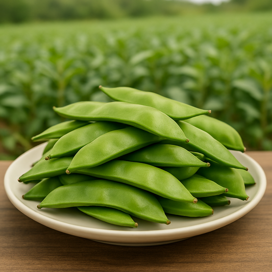 Fresh Valore ( Broad)Beans