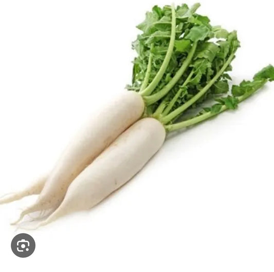 Indian Radish / Moli  Import