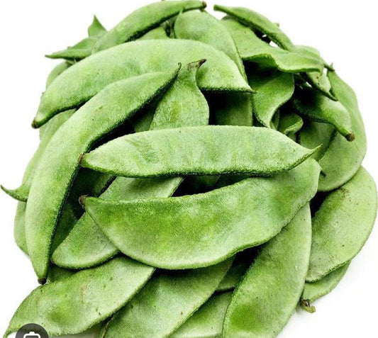Fresh Valore ( Broad)Beans