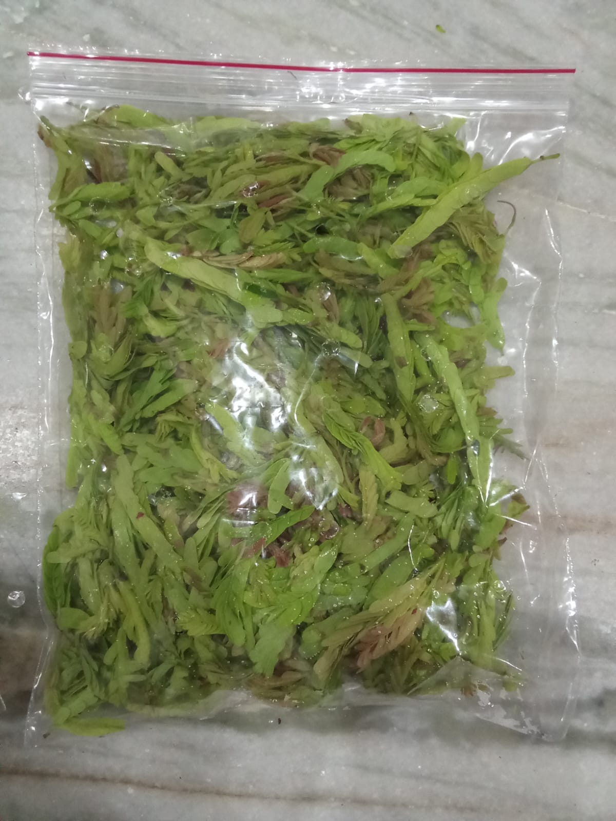 Tendor / small Tamrind leaves / చింతచిగురు