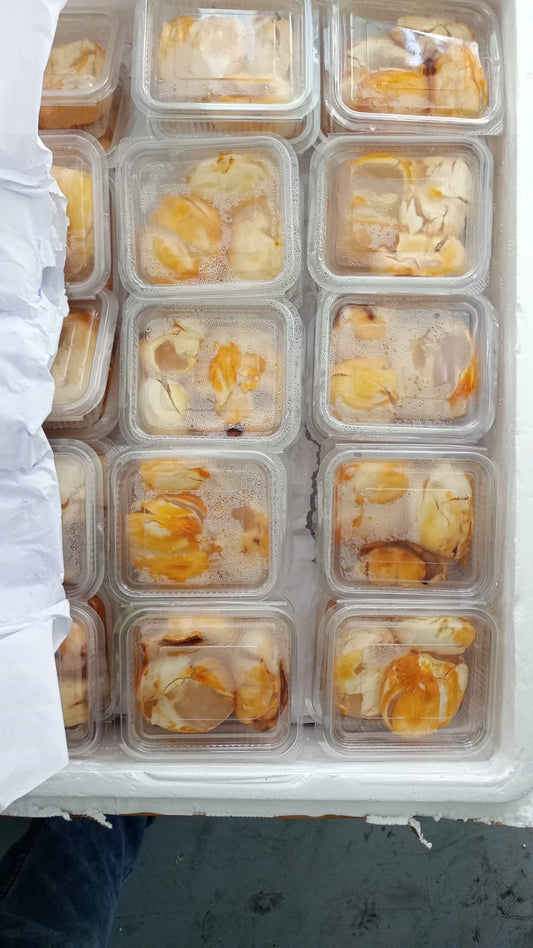 Ice Apple / Taati Munjalu/ Nungu box