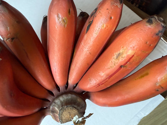 Red Banana