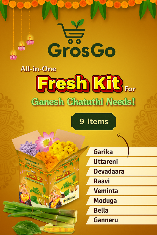 Ganesh Pooja Patri Kit-10 items