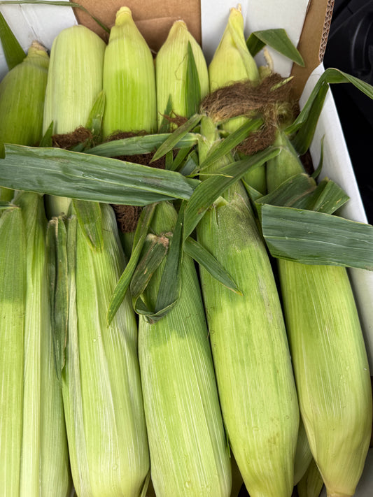 Sweet corn