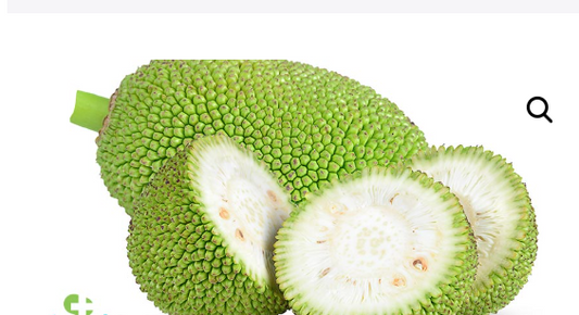 Raw Jackfruit