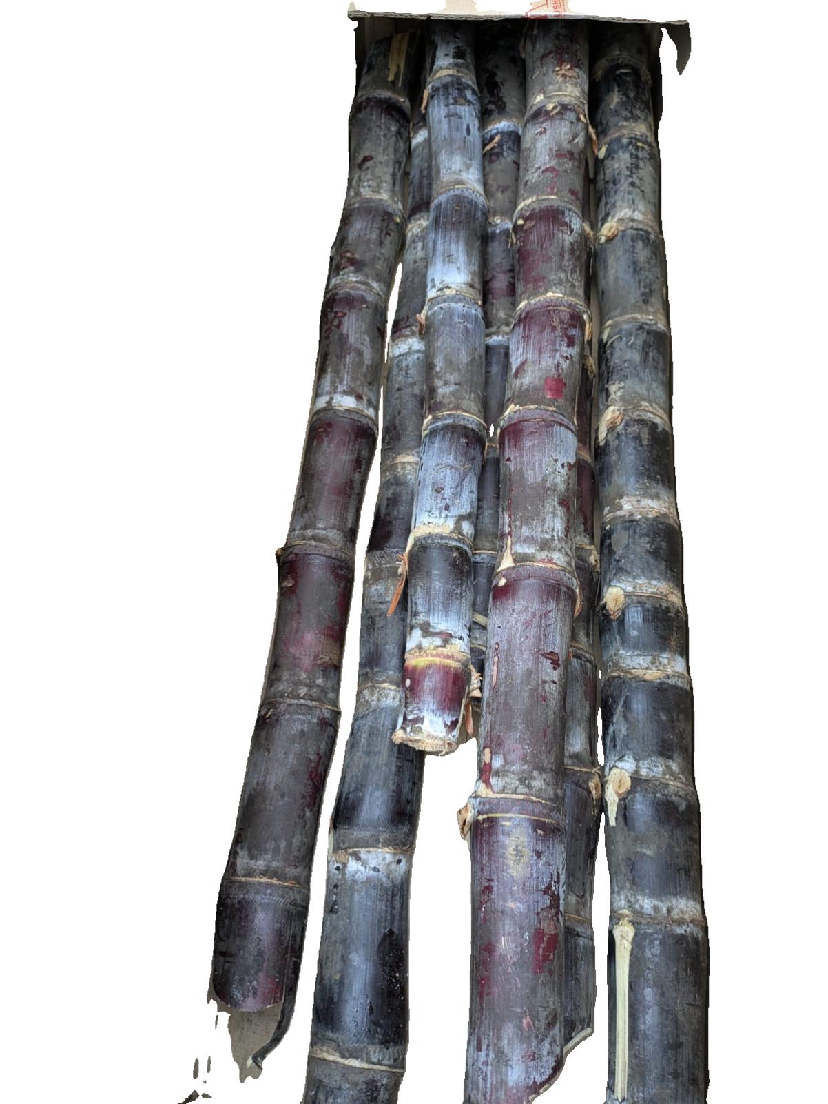 Sugarcane Long Sticks / Bellam Cheruku