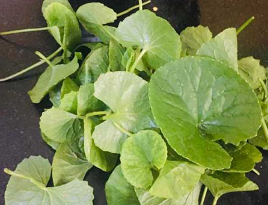 Vallarai Keerai / brahmi leaves