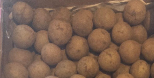 Indian Sapota/Chikku - Export Quality